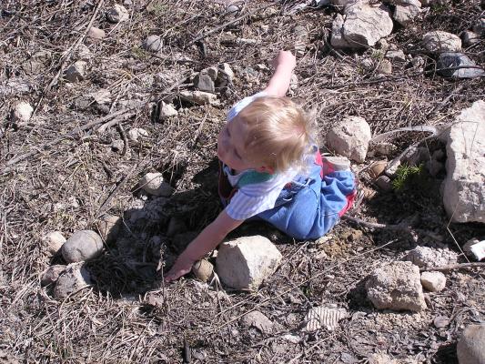 Noah is looking for some really good rocks.