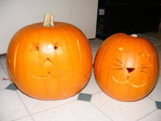 Dog and cat jack-o-lanterns