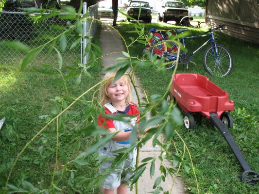 Sarah in overalls with tree branch.