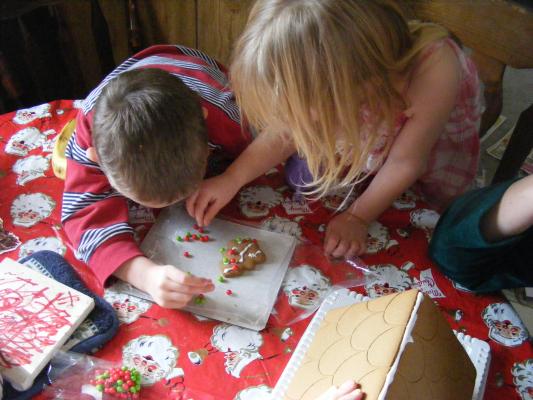 Noah and Sarah decorate a tree
