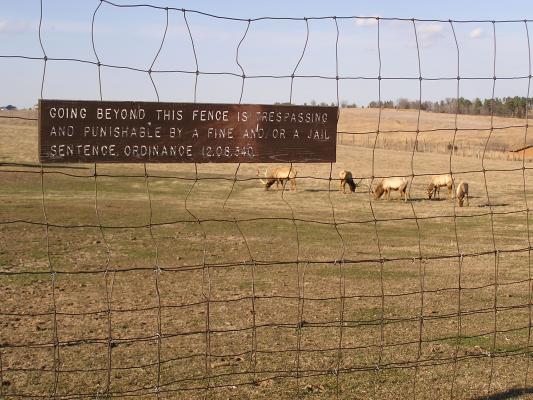 Going beyond this fence is trespassing and punishable by a fine and/or jail sentence.  Ordinace 12.08.340.