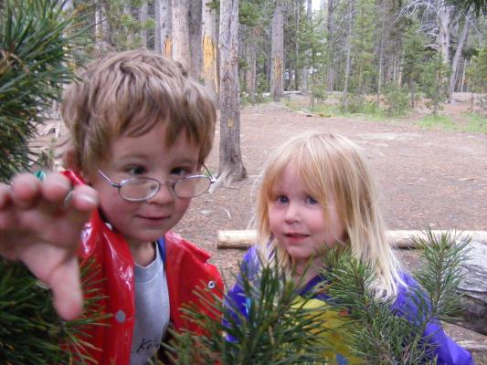 Noah and Sarah in trees