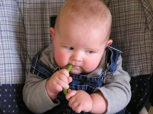 I guess its about time I started my green vegetables.