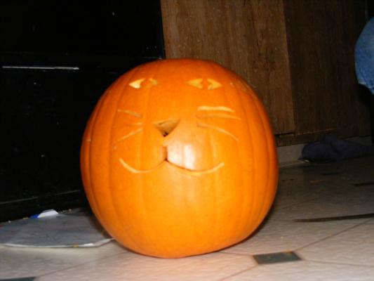 Cat pumpkin