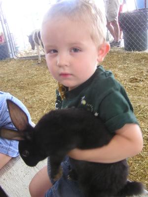 Noah has a bunny