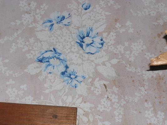 Blue-flowered wallpaper