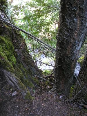 The view from the top of the waterfall.