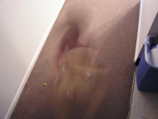 Noah plays with an old straw hat.