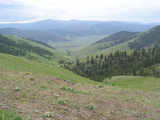 A view from the Bison Range.