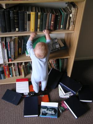 I think these books up here are thicker and will help me get up higher.