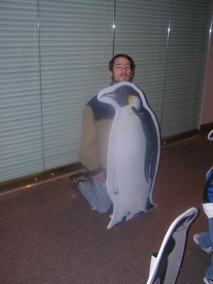 David compares his height with that of a penguin.
