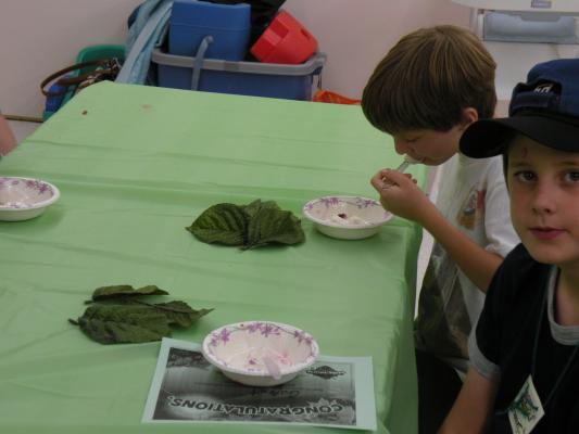Icecream sundays at Vaction Bible School.