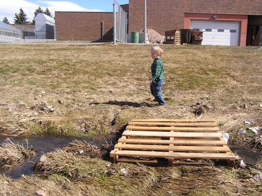 Noah found a cool bridge.