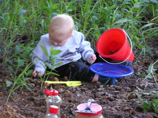Noah found some pinecones to put in his bucket.