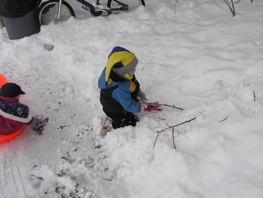 Noah plays with sticks that are stuck in the snow.