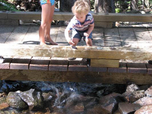 Noah knocks some rocks into the water.