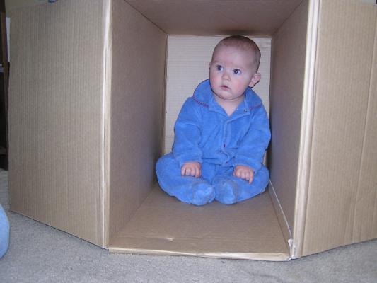I'm glad you got me my own box, but shouldn't it have wires and chips inside?