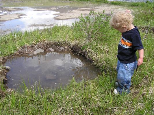 Noah found another little pond.