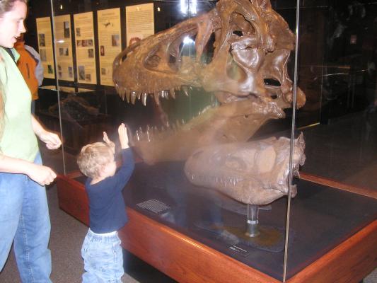 Katie and Noah look at a T-Rex head at the Museum of the Rockies.