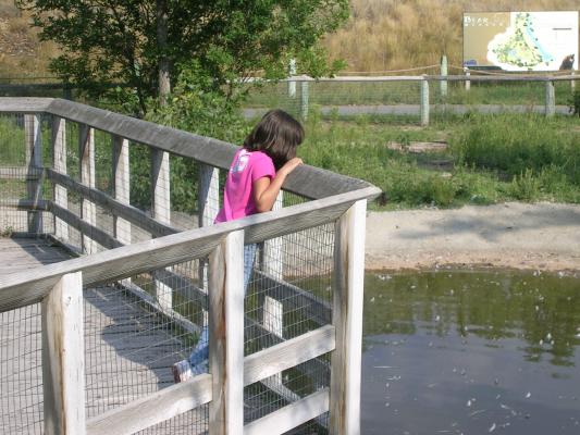 Malia Zoo Montana 2006