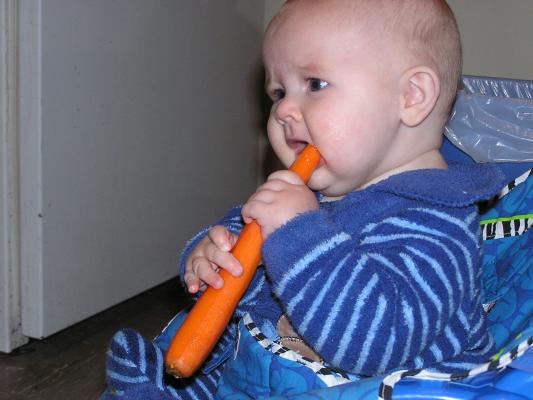 Noah eats a carrot.