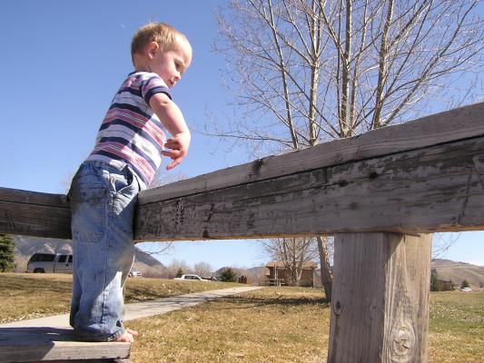 Noah stands on the bench.