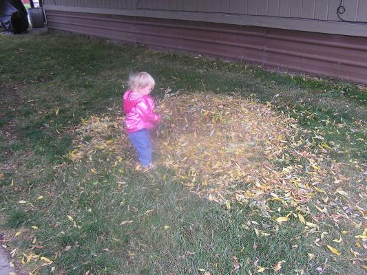 Sarah plays with the pile of leaves.