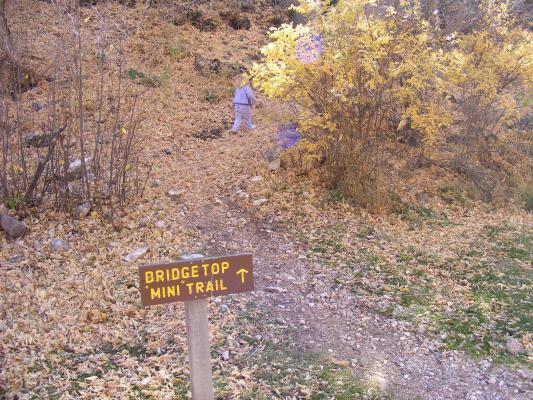Bridetop Mini Trail