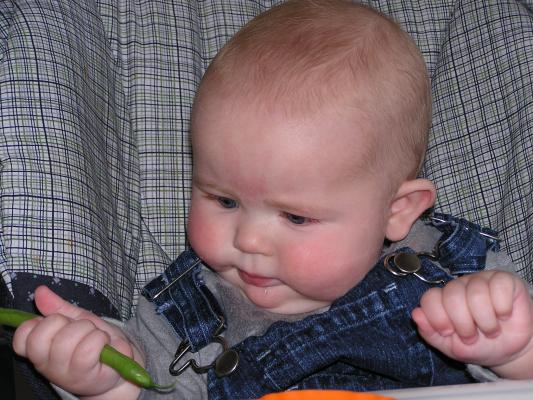 Mom? Are you sure this is how babies usually eat their green beens?