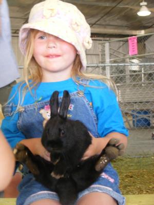 We love the petting zoo at the fair.