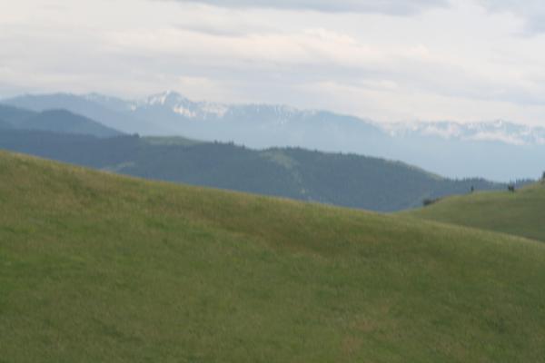View from the Bison Range.