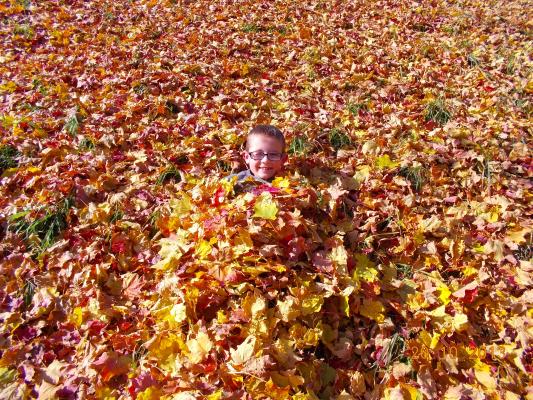 Noah in the leaves.