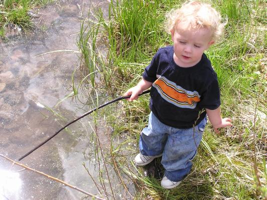 Noah loves his stick.