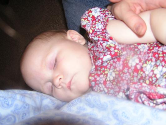 Sarah takes a Thanksgiving snooze.