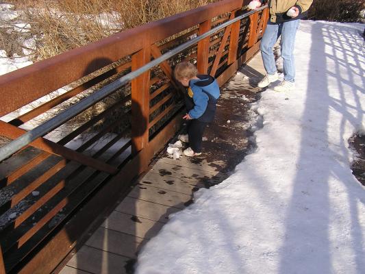 David and Noah broke some snow off the path to throw into the water.