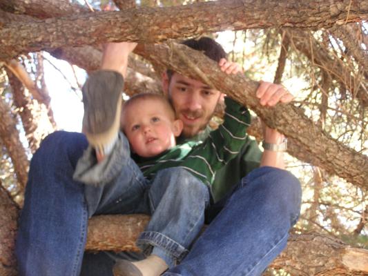 Noah and David in a tree.
