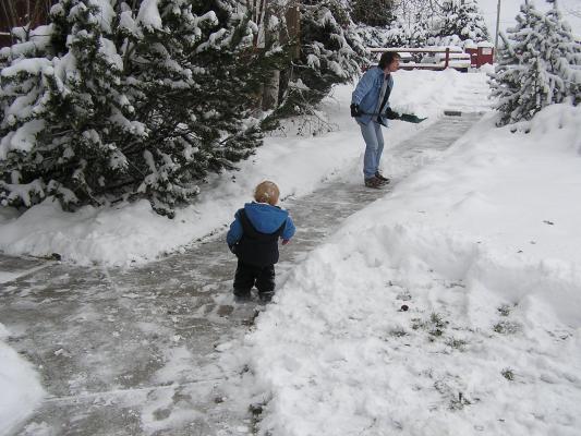 Let's move this snow to our snow fort.