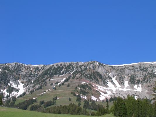 Bridger