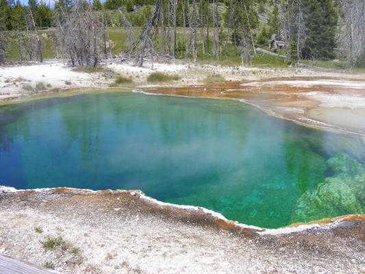 Green water.