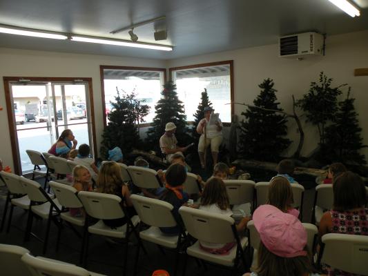 Wildwood Forest VBS