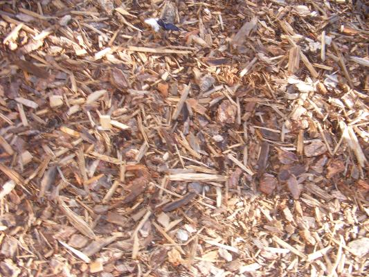 woodchips.