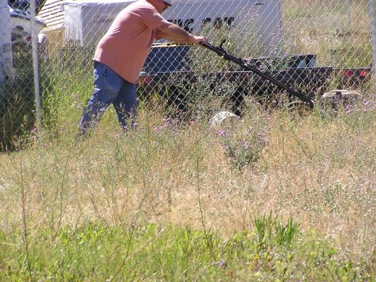 Those weeds were tall.