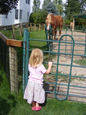 Sarah watches a horse at the zoo in Bilings