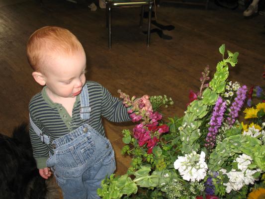 Steven plays with great grandpa's flowers.