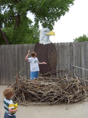Noah watches Joe as an eaglet