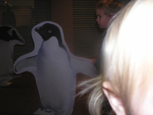 Sarah with some penguins at the Museum of the Rockies.