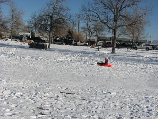 Andrea Sledding