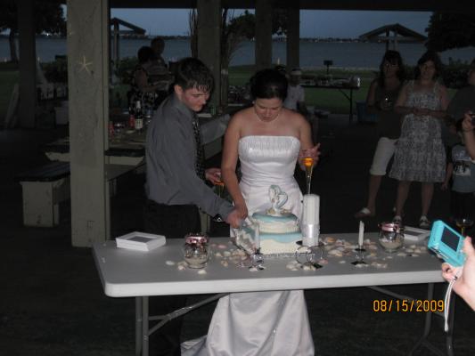 Zack Courtney Wedding Cake park 2009