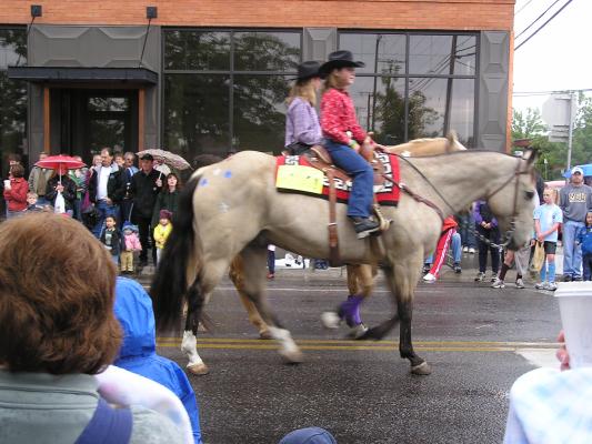 Horses