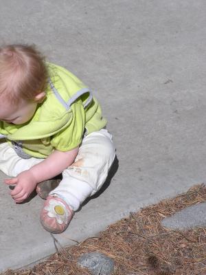 Sarah plays with a fir cone.